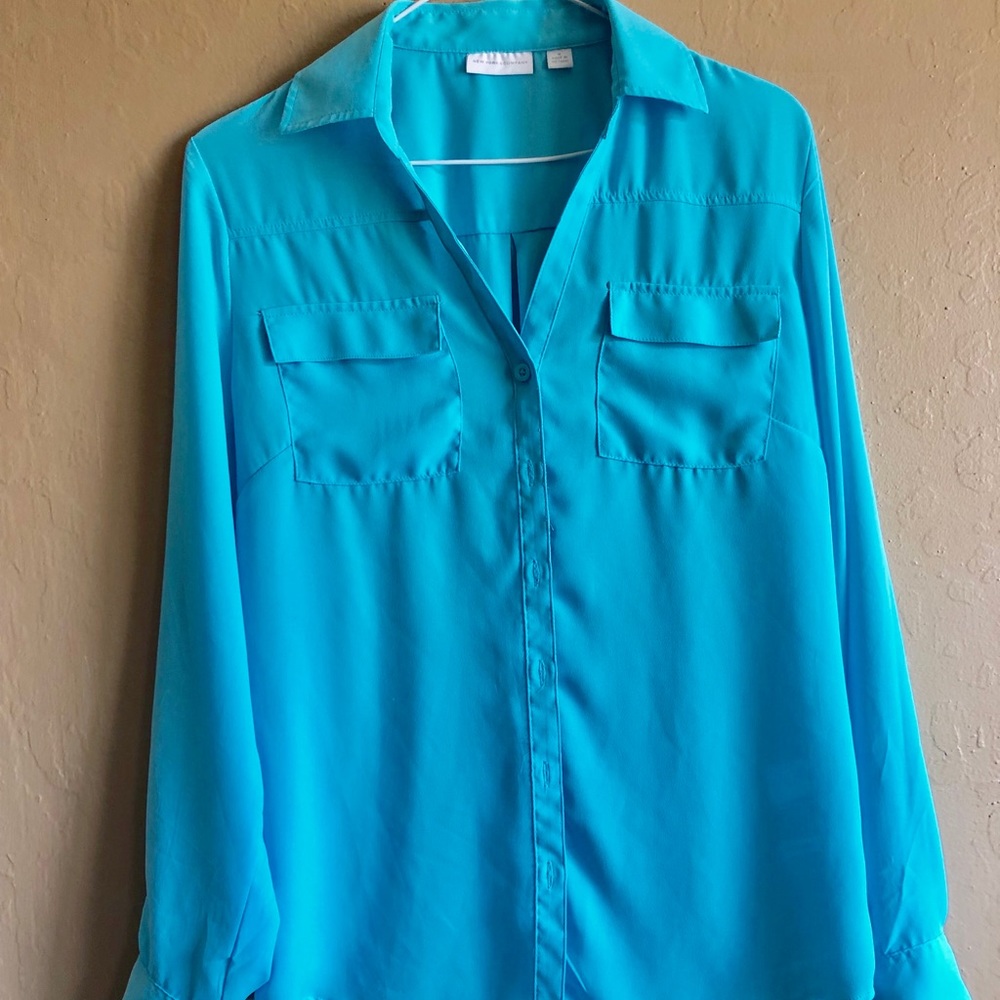 Blue Button Down Sheer Blouse